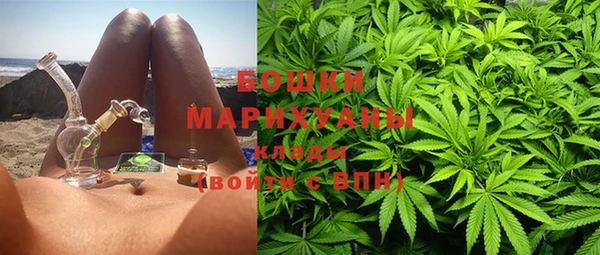 ешки Медногорск