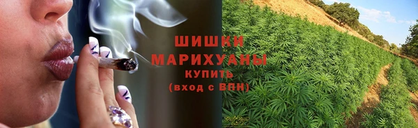 ешки Медногорск