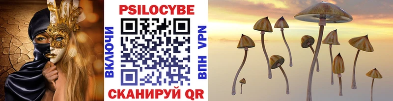 Галлюциногенные грибы Psilocybe  где купить наркоту  Зуевка 